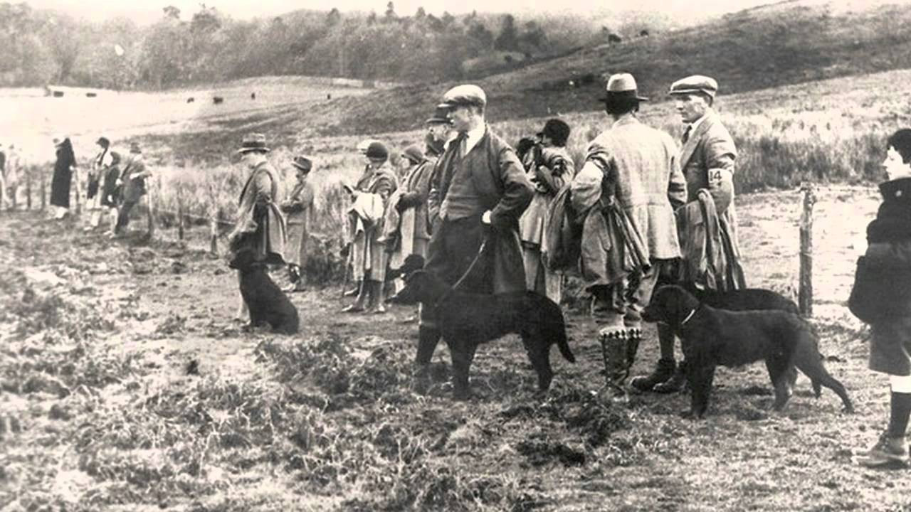 hunting with a Labrador Retriever