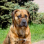 media-libraryrfJPVB